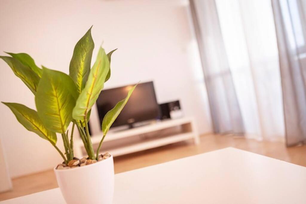Sea City View W/ 2Bd 1Bt Free Street Parking Rijeka Eksteriør bilde